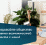 «Открыто для всех»! - Ясненский городской округ