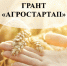 В Оренбуржье 32 победителя конкурса «Агростартап» получат гранты на развитие - YasVesti.Ru
